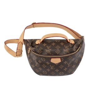 Fashion Waist Bag - Louis Vuitton